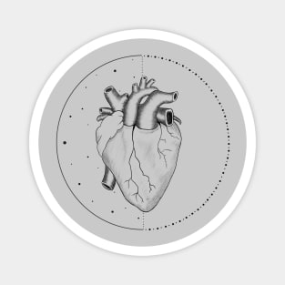 Anatomical Heart Magnet